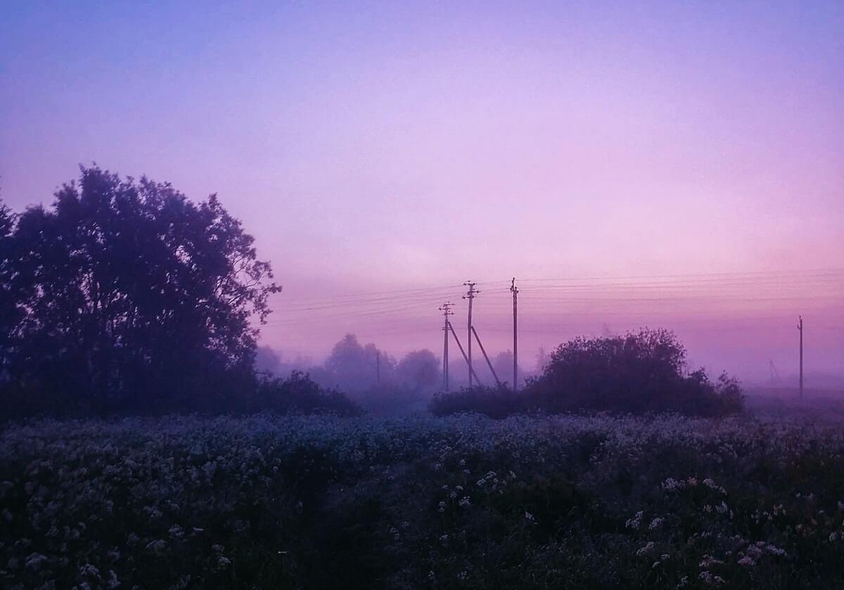 唐斯：那个唐斯已经死于4月13日 灵魂随母亲而去了