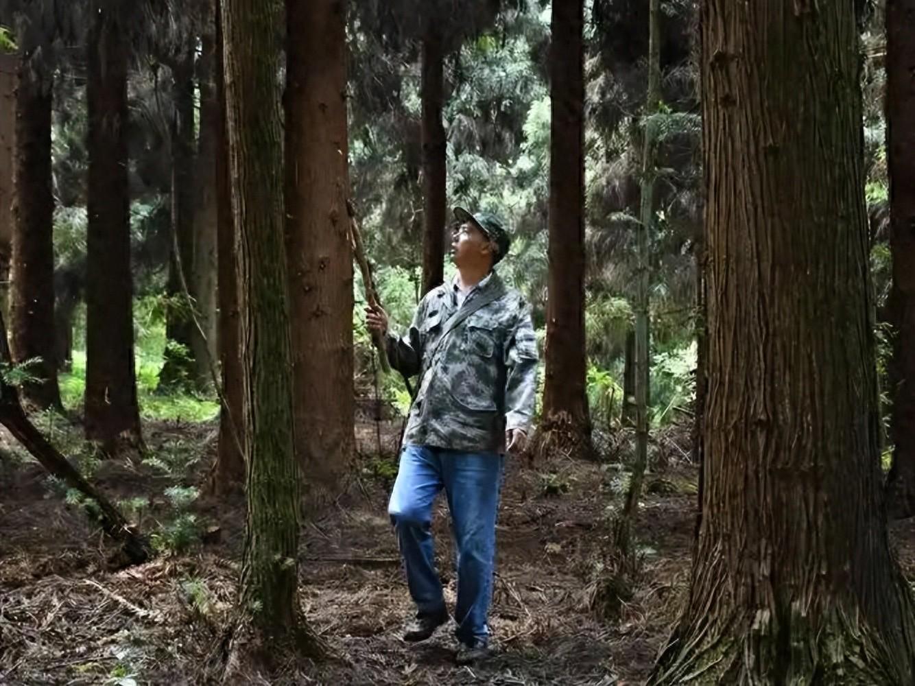 完美电竞-监守自盗!2021年,江苏一护林员2年多猎杀8只,清洗尸体时暴露